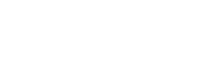 Techverse Digital Solution